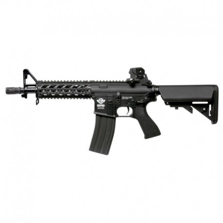 CM16 Raider Combo G&G (EGC-16P-RDS-BNB-ECM)